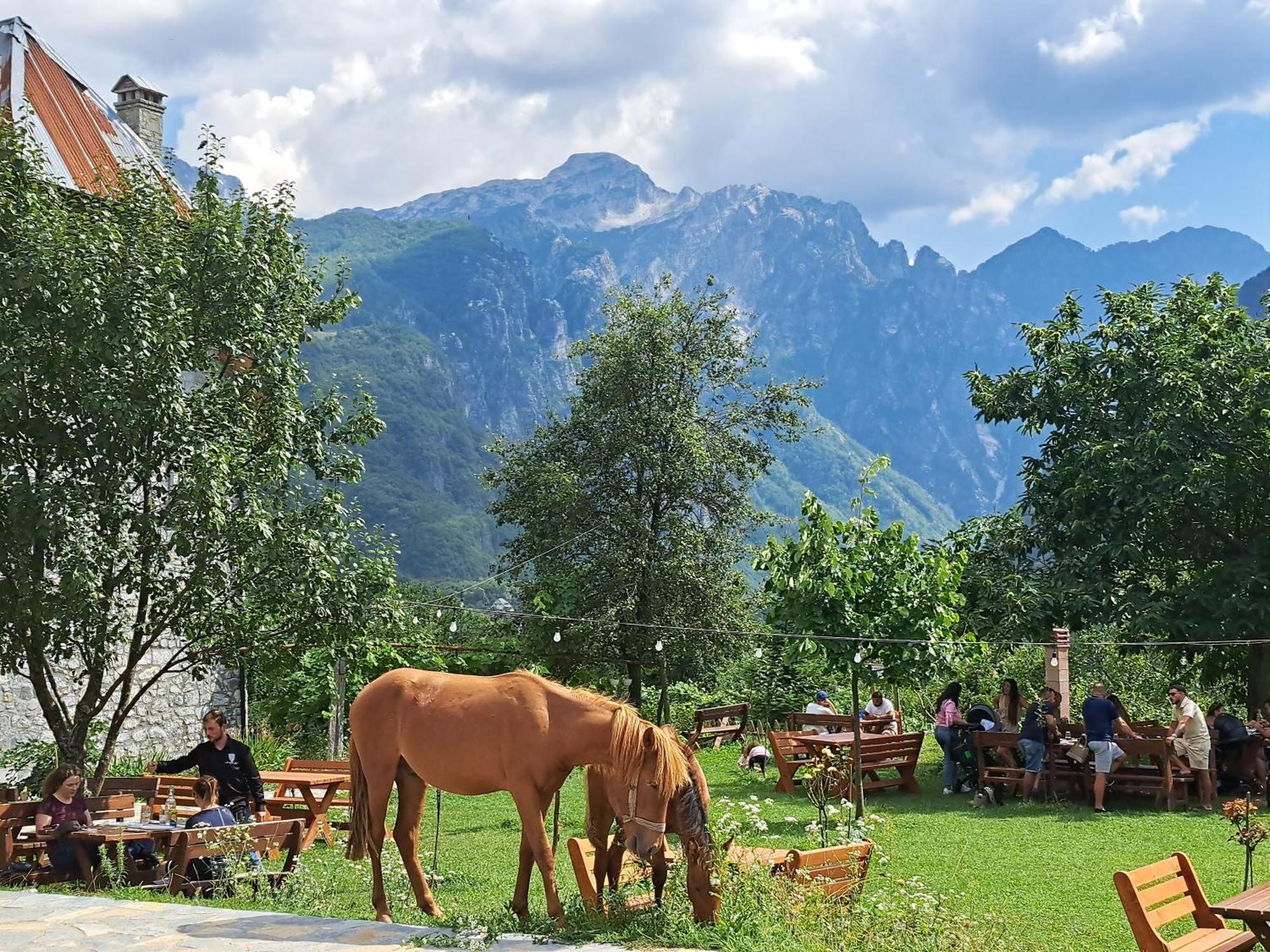 Gjecaj And Restaurant 3*